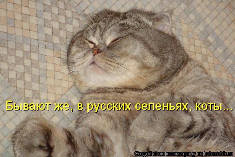 Котоматрица: Бывают же, в русских селеньях, коты...
