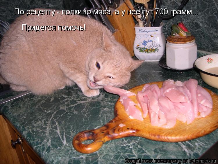 Котоматрица: По рецепту - полкило мяса, а у нее тут 700 грамм... Придется помочь!