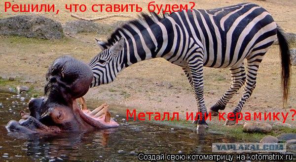 Котоматрица: Решили, что ставить будем? Металл или керамику?
