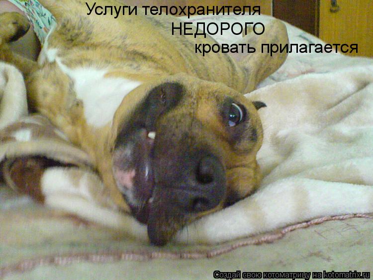 Котоматрица: Услуги телохранителя НЕДОРОГО  кровать прилагается