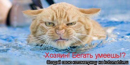 Котоматрица: -Хозяин! Бегать умеешь!?