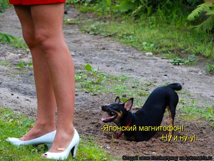 Котоматрица: -Японский магнитофон!... -Ну и ну-у!...