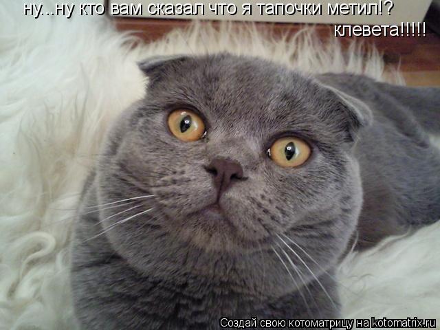 Котоматрица: ну...ну кто вам сказал что я тапочки метил!? клевета!!!!!