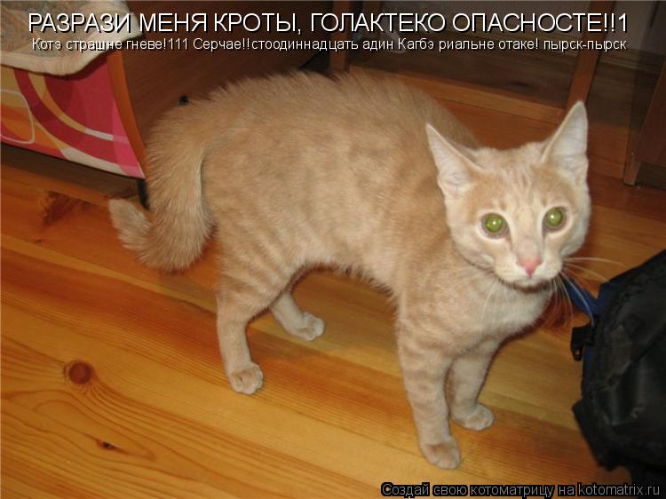 Котоматрица: РАЗРАЗИ МЕНЯ КРОТЫ, ГОЛАКТЕКО ОПАСНОСТЕ!!1  Котэ страшне гневе!111 Серчае!!стоодиннадцать адин Кагбэ риальне отаке! пырск-пырск