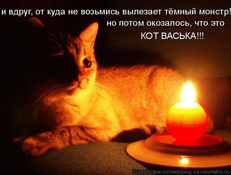 и вдруг, от куда не возьмись вылезает тёмный монстр! но потом окозалось, что это КОТ ВАСЬКА!!!... Котоматрица: и вдруг, от куда не возьмись вылезает тёмный монстр! но потом окозалось, что это КОТ ВАСЬКА!!!