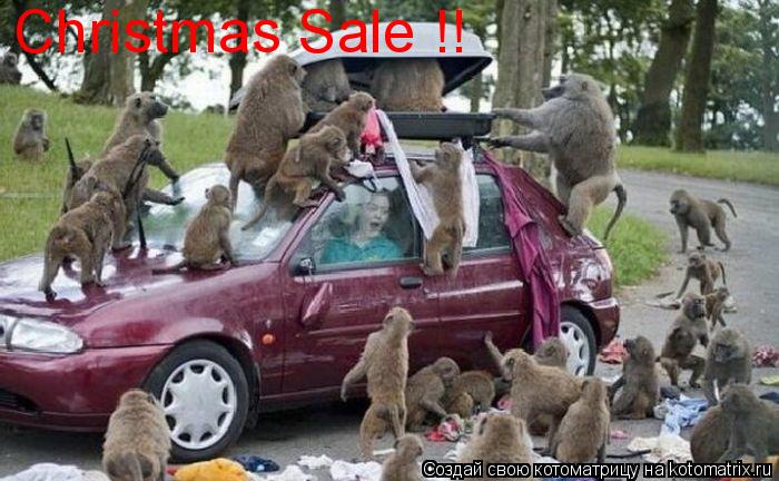 Котоматрица: Christmas Sale !!