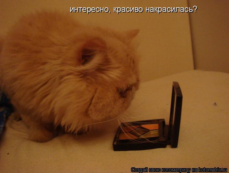 Котоматрица: интересно, красиво накрасилась?