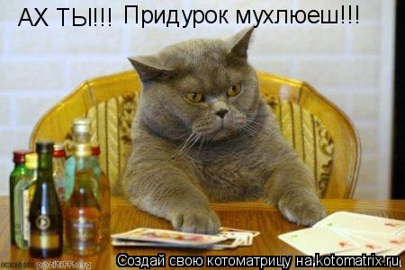 Котоматрица: АХ ТЫ!!! Придурок мухлюеш!!!