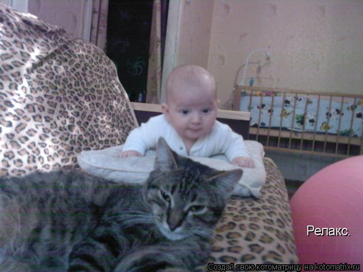 Котоматрица: Релакс. Релакс.