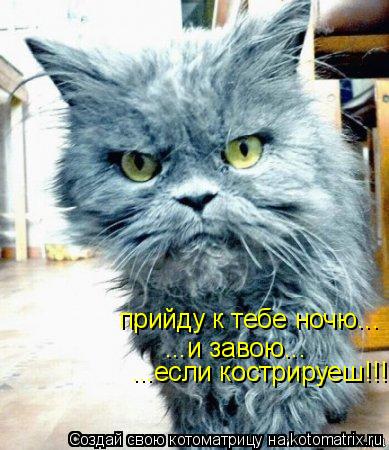 Котоматрица: прийду к тебе ночю... ...и завою... ...если кострируеш!!!