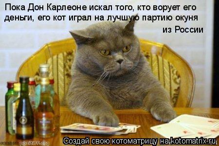 Котоматрица: Пока Дон Карлеоне искал того, кто ворует его деньги, его кот играл на лучшую партию окуня  из России