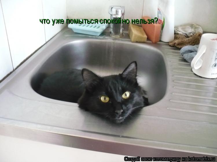Котоматрица: что уже помыться спокойно нельзя?