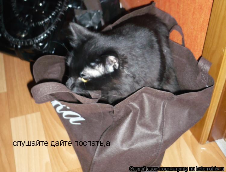 Котоматрица: слушайте дайте поспать,а
