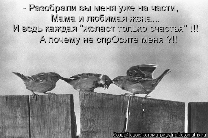Котоматрица: - Разобрали вы меня уже на части, Мама и любимая жена... И ведь каждая "желает только счастья" !!! А почему не спрОсите меня ?!!