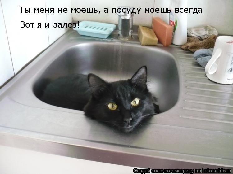 Котоматрица: Ты меня не моешь, а посуду моешь всегда Вот я и залез!
