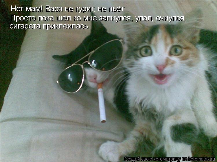 Ем лечить простатит