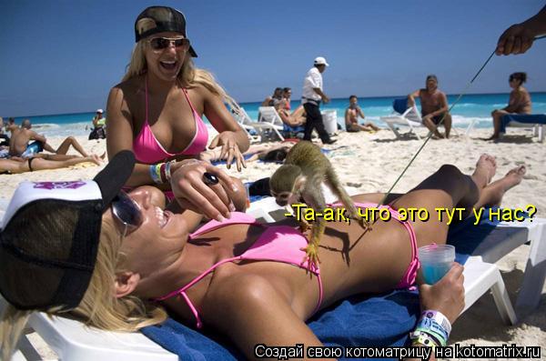 Котоматрица: -Та-ак, что это тут у нас?