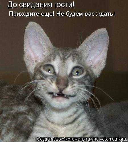 До свидания гости! Приходите ещё! Не будем вас ждать!... Котоматрица: До свидания гости! Приходите ещё! Не будем вас ждать!