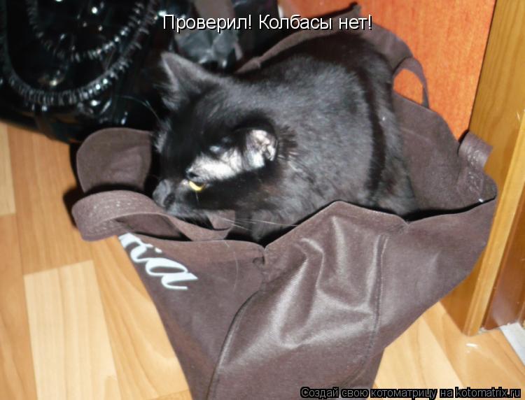 Проверил! Колбасы нет!... Котоматрица: Проверил! Колбасы нет!