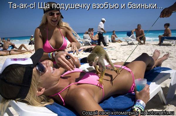 Котоматрица: Та-ак-с! Ща подушечку взобъю и баиньки...