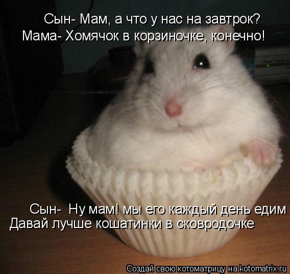 Сын- Мам, а что у нас на завтрок? Мама- Хомячок в корзиночке, конечно! Сын- Ну мам! мы его каждый де... Котоматрица: Сын- Мам, а что у нас на завтрок? Мама- Хомячок в корзиночке, конечно! Сын- Ну мам! мы его каждый день едим Сын- Ну мам! мы его каждый день едим