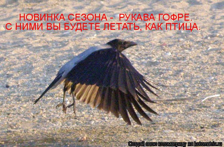 НОВИНКА СЕЗОНА - РУКАВА ГОФРЕ. С НИМИ ВЫ БУДЕТЕ ЛЕТАТЬ, КАК ПТИЦА.... Котоматрица: НОВИНКА СЕЗОНА - РУКАВА ГОФРЕ. С НИМИ ВЫ БУДЕТЕ ЛЕТАТЬ, КАК ПТИЦА.