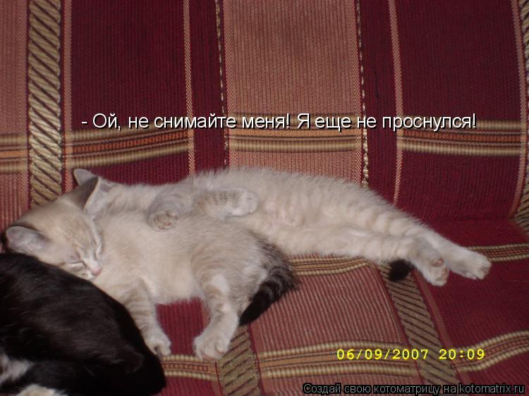 - Ой, не снимайте меня! Я еще не проснулся!... Котоматрица: - Ой, не снимайте меня! Я еще не проснулся!
