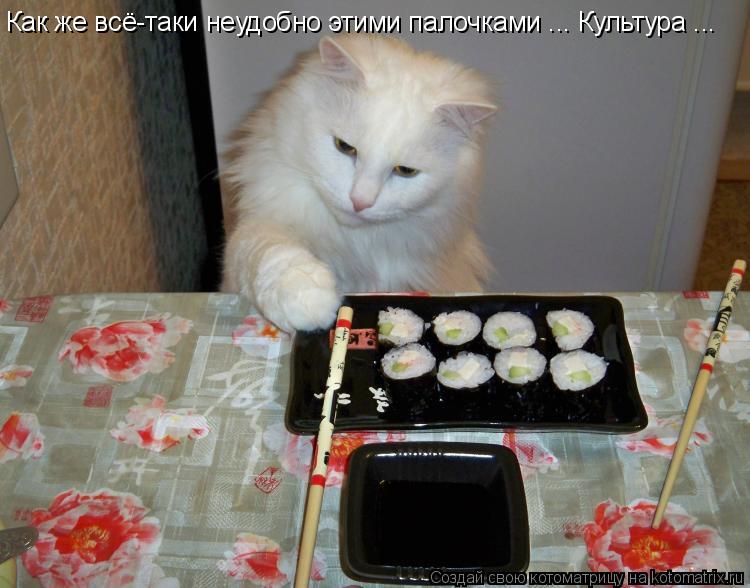 Как же всё-таки неудобно этими палочками ... Культура ...... Котоматрица: Как же всё-таки неудобно этими палочками ... Культура ...