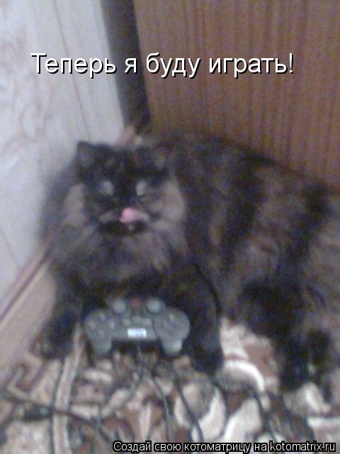 Теперь я буду играть!... Котоматрица: Теперь я буду играть!