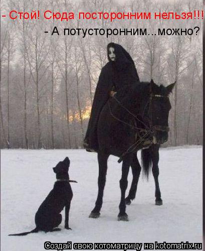 - Стой! Сюда посторонним нельзя!!! - А потусторонним...можно?... Котоматрица: - Стой! Сюда посторонним нельзя!!! - А потусторонним...можно?