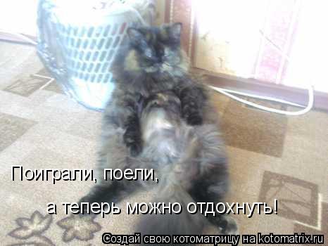 Котоматрица: Поиграли, поели,  а теперь можно отдохнуть!