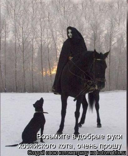 Котоматрица: Возьмите в добрые руки хозяйского кота, очень прошу