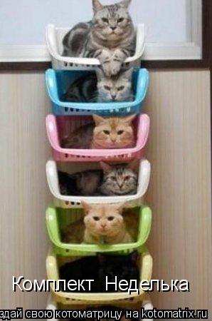 Котоматрица: Комплект  Неделька