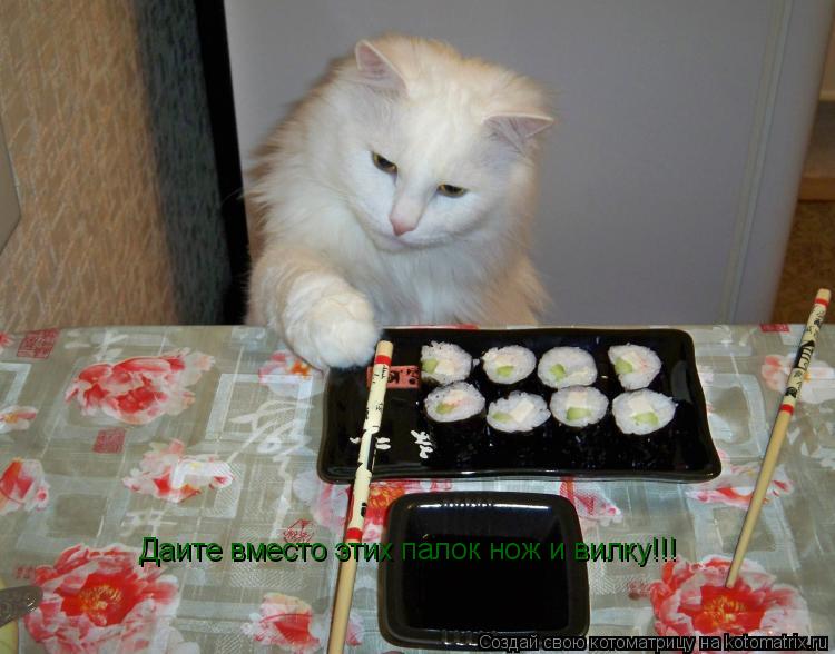 Котоматрица: Даите вместо этих палок нож и вилку!!!