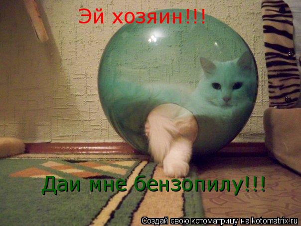Котоматрица: Эй хозяин!!! Даи мне бензопилу!!!