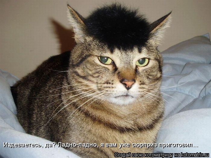 Котоматрица: Издеваетесь, да? Ладно-ладно, я вам уже сюрприз приготовил...