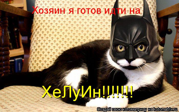 Котоматрица: Хозяин я готов идти на ХеЛуИн!!!!!!!
