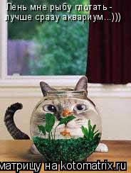 Котоматрица: Лень мне рыбу глотать -  лучше сразу аквариум...)))