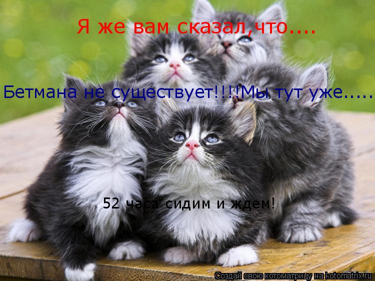 Я же вам сказал,что.... Бетмана не существует!!!!Мы тут уже..... 52 часа сидим и ждем!... Котоматрица: Я же вам сказал,что.... Бетмана не существует!!!!Мы тут уже..... 52 часа сидим и ждем!