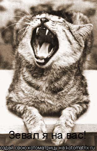 Зевал я на вас!... Котоматрица: Зевал я на вас!