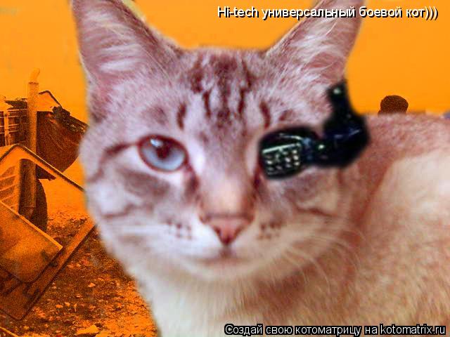 Hi-tech универсальный боевой кот)))... Котоматрица: Hi-tech универсальный боевой кот)))