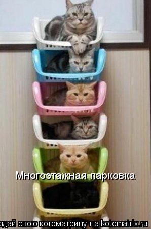 Многоэтажная парковка... Котоматрица: Многоэтажная парковка