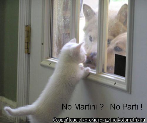 Котоматрица: No Martini ?   No Parti !