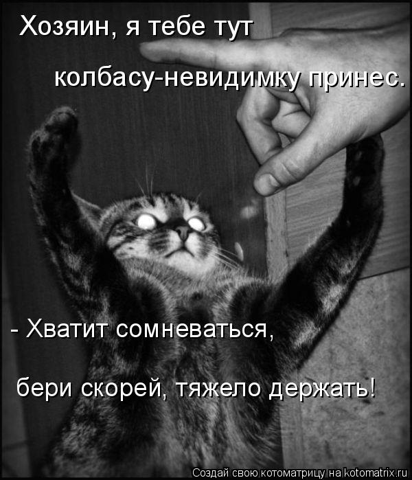 Котоматрица: Хозяин, я тебе тут  колбасу-невидимку принес. - Хватит сомневаться,  бери скорей, тяжело держать!