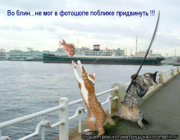 Котоматрица: Во блин...не мог в фотошопе поближе придвинуть !!!