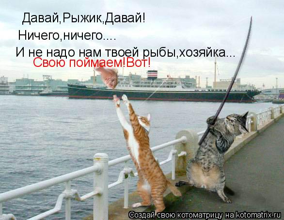 Котоматрица: Давай,Рыжик,Давай! Ничего,ничего.... И не надо нам твоей рыбы,хозяйка... Свою поймаем!Вот!