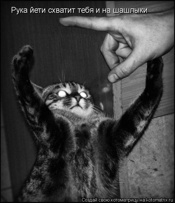 Котоматрица: Рука йети схватит тебя и на шашлыки