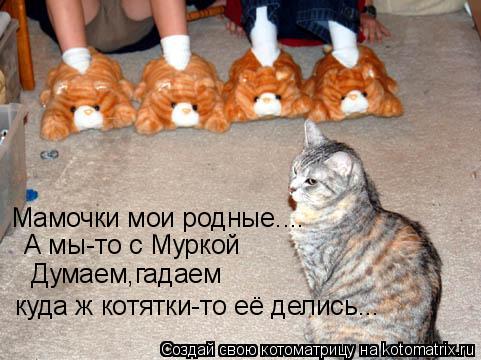 Котоматрица: Мамочки мои родные.... А мы-то с Муркой  Думаем,гадаем куда ж котятки-то её делись...