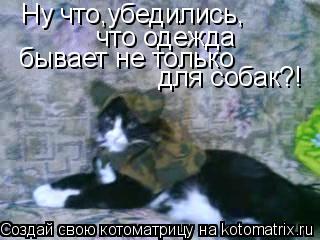 Котоматрица: Ну что,убедились, что одежда  бывает не только для собак?!