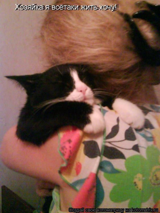 Котоматрица: Хозяйка я всётаки жить хочу! Хозяйка я всётаки жить хочу!